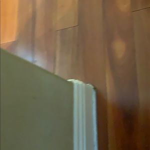 Meet your Posher, Elaina